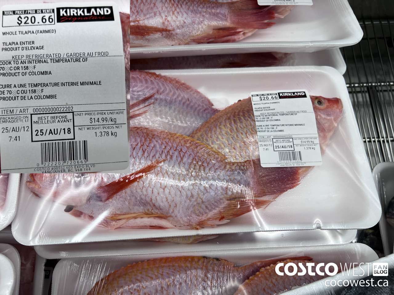 22202 WHOLE TILAPIA (FARMED) $14.99