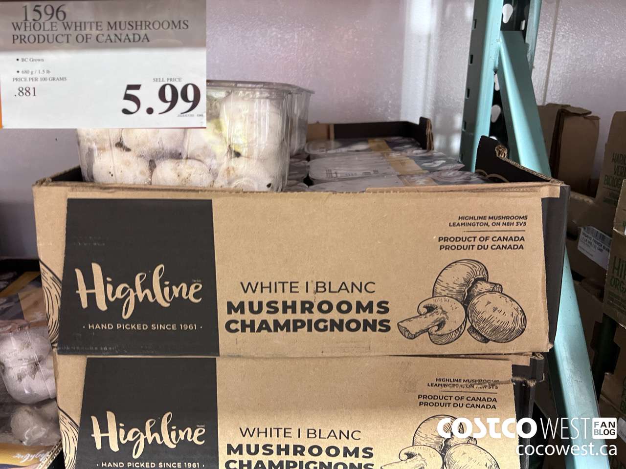 1596 WHOLE WHITE MUSHROOMS PRODUCT OF CANADA $5.99