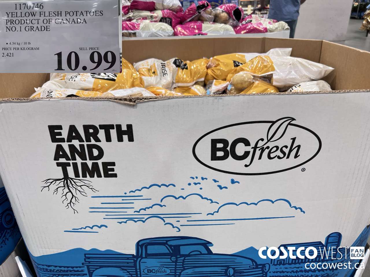 1170746 YELLOW FLESH POTATOES PRODUCT OF CANADA NO. 1 GRADE $10.99