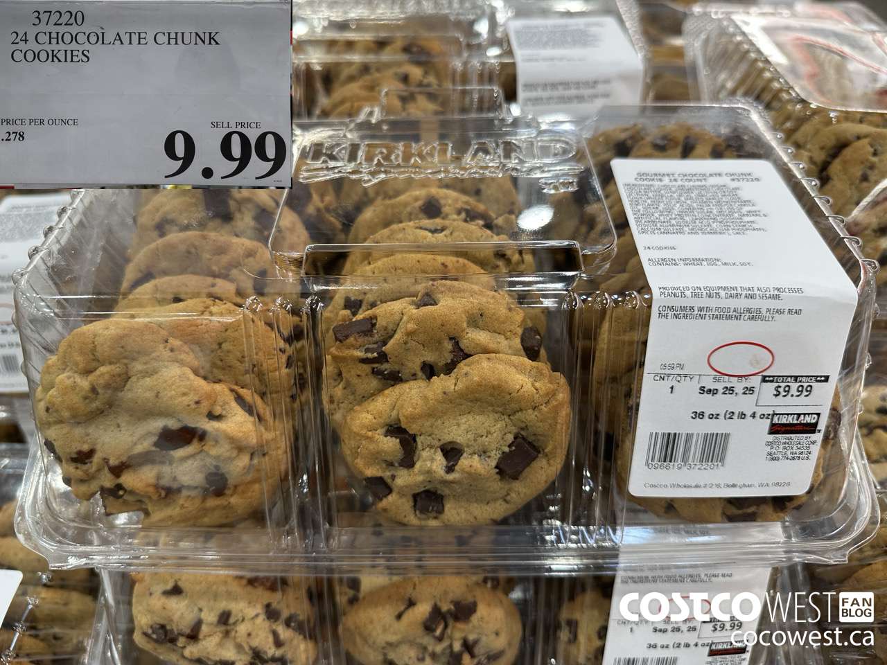 37220 24 CHOCOLATE CHUNK COOKIES $9.99