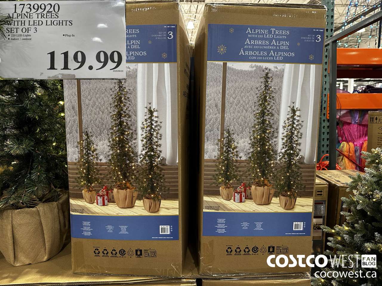 1739920 ALPINE TREES WITH LED LIGHTS SET OF 3 $119.99