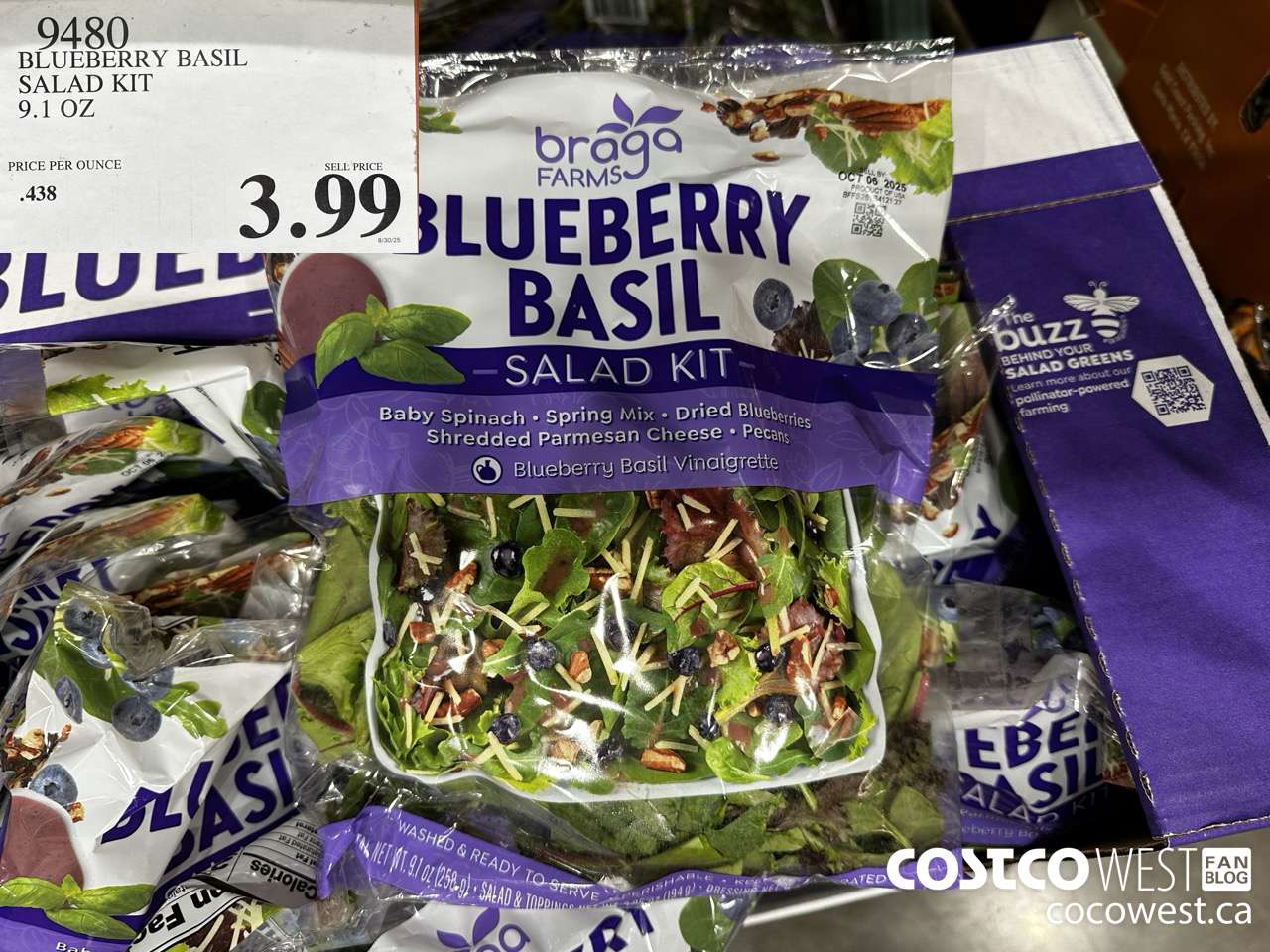 9480 BLUEBERRY BASIL SALAD KIT 9.1OZ $3.99