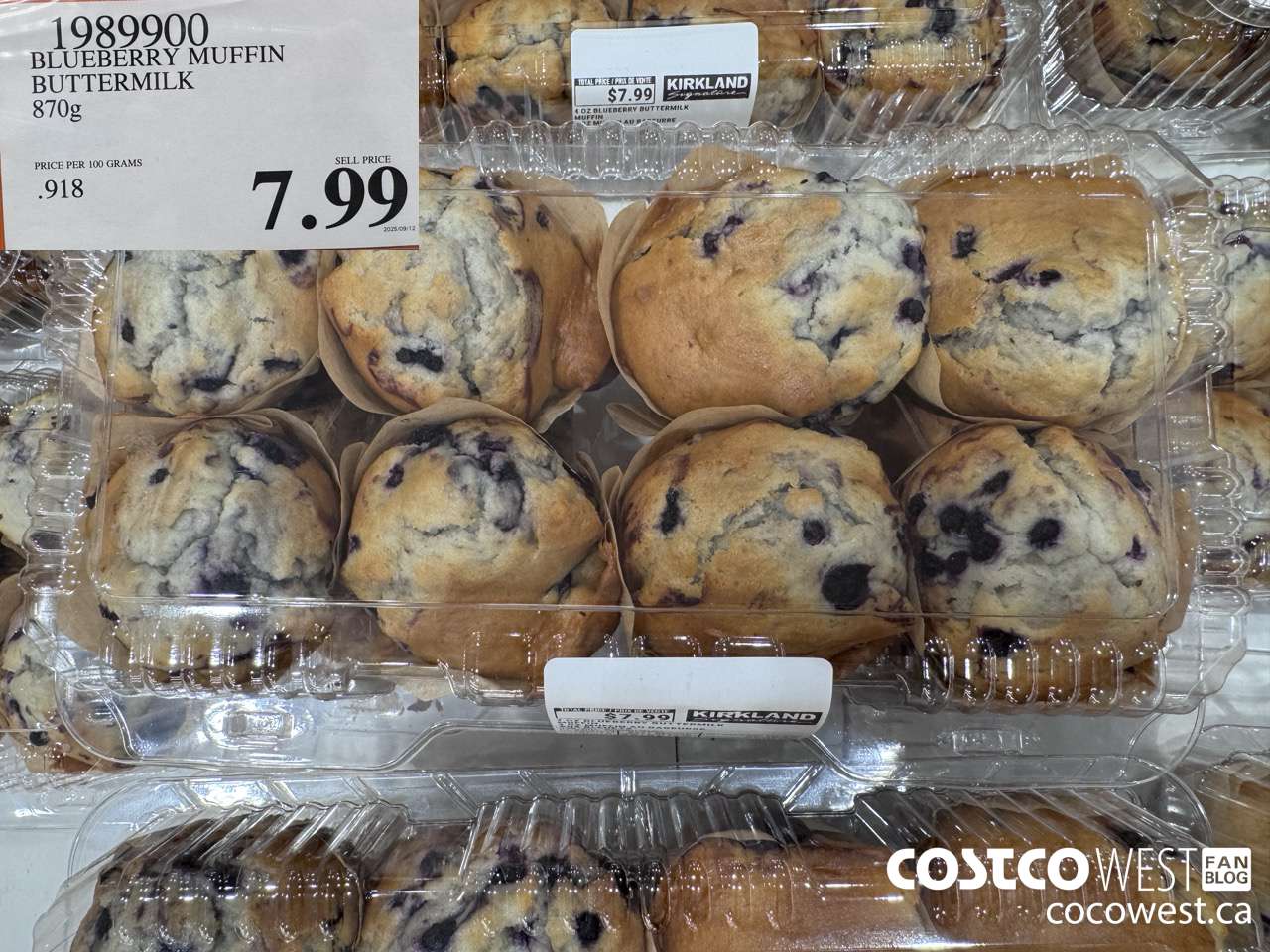 1989900 BLUEBERRY MUFFIN BUTTERMILK 870G $7.99
