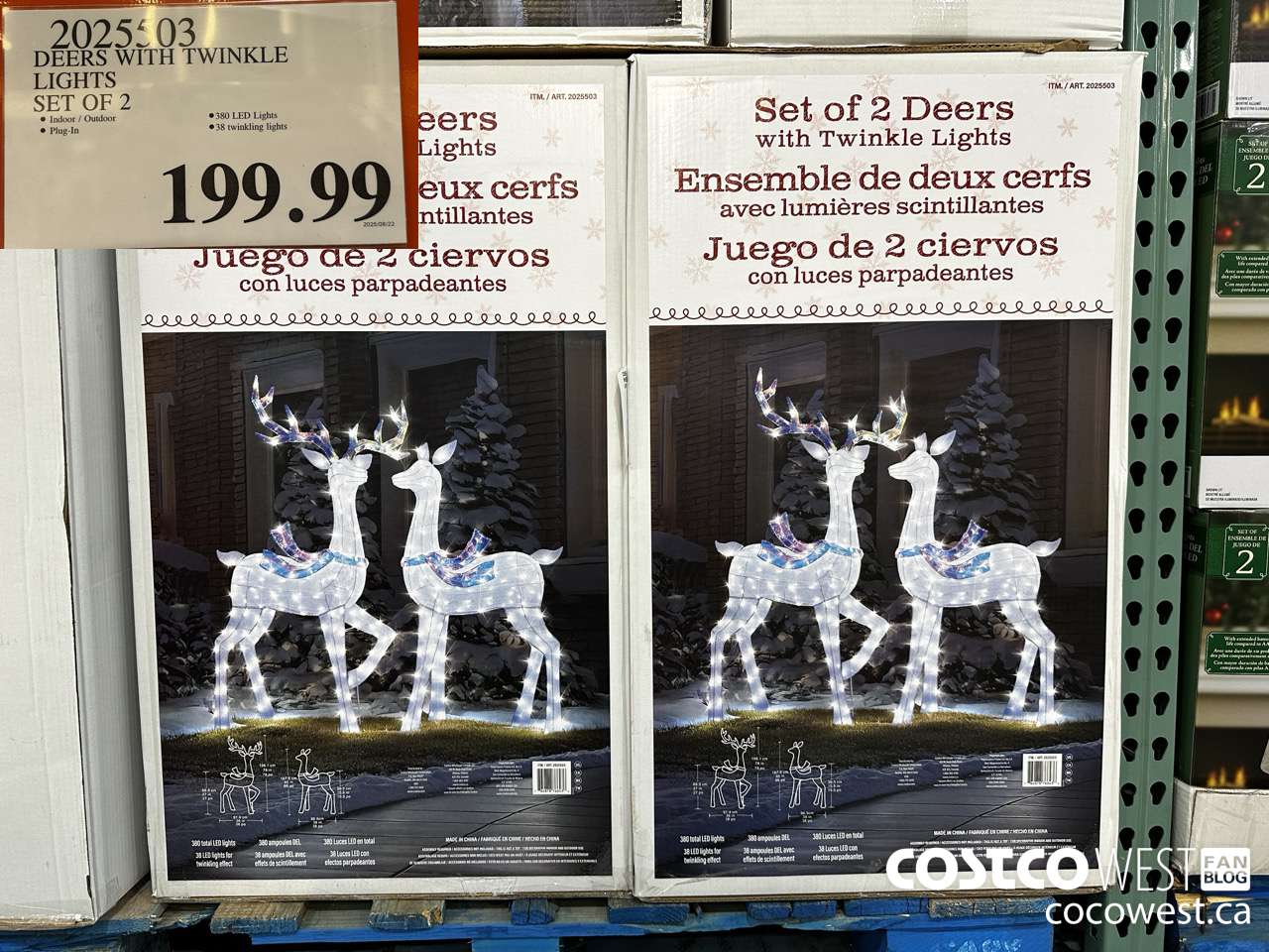 2025503 DEERS WITH TWINKLE LIGHTS SET OF 2 $199.99