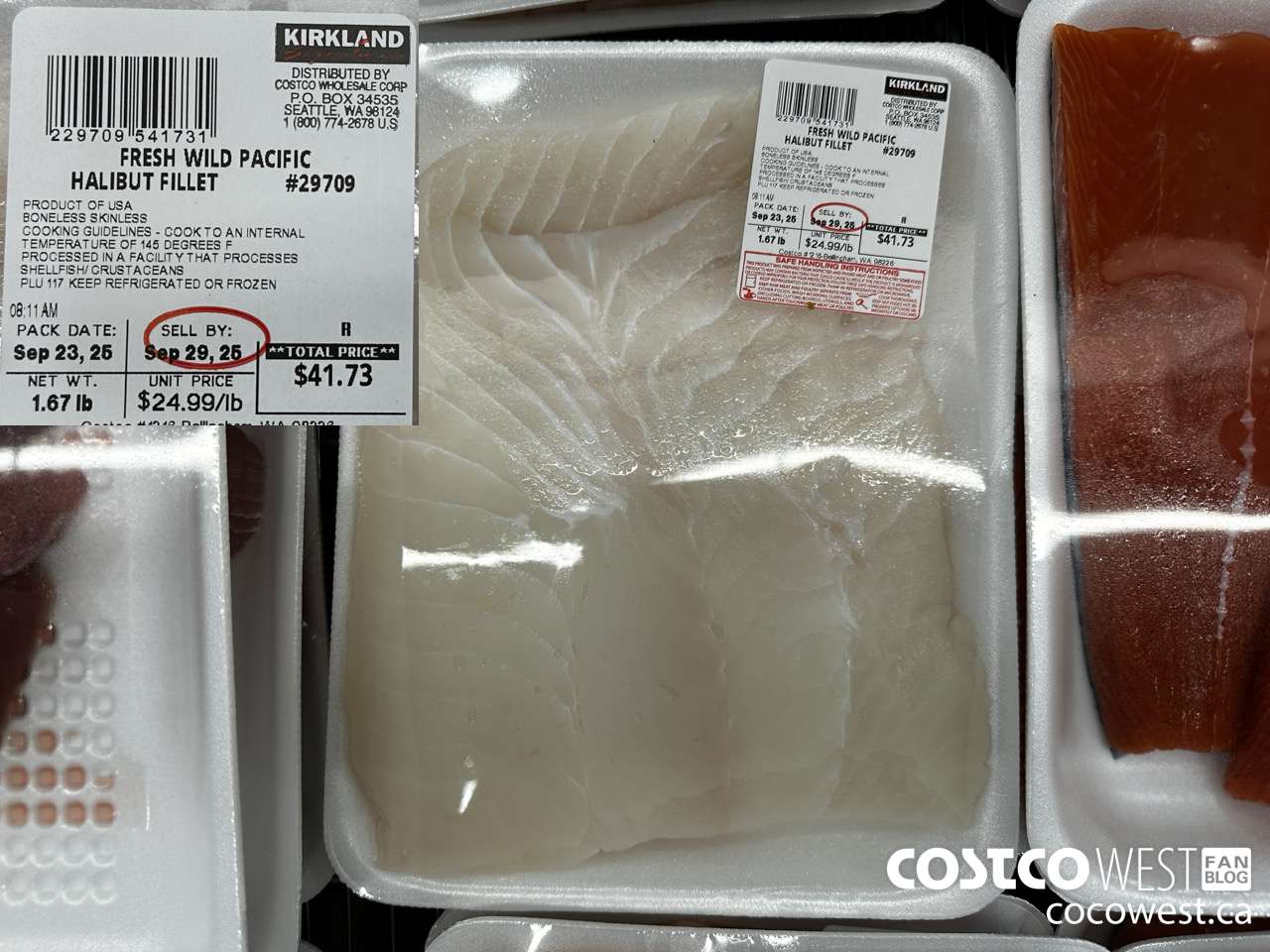 29709 FRESH WILD PACIFIC HALIBUT FILLET PER LB $24.99