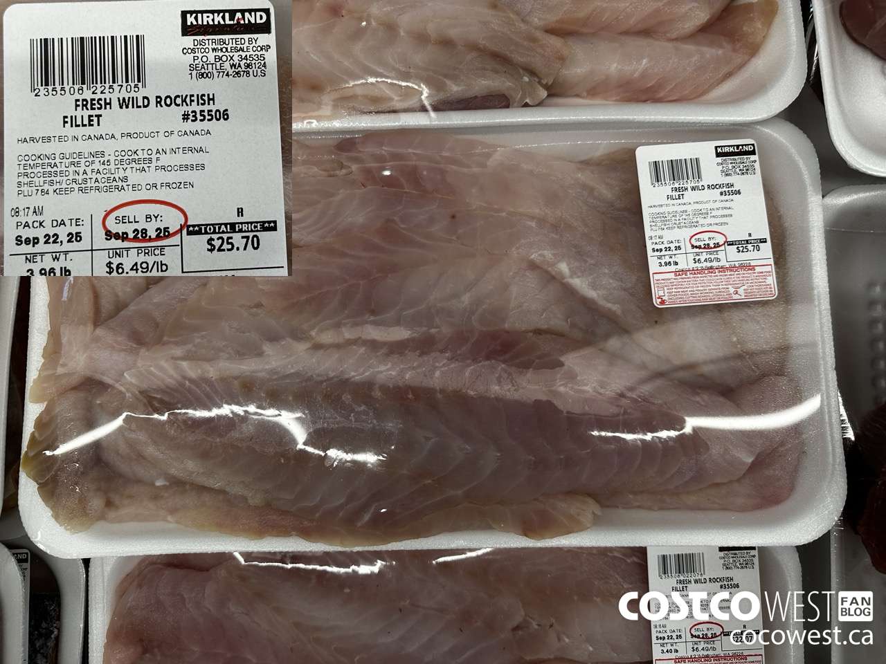 35506 FRESH WILD ROCKFISH FILLET PER LB $6.49