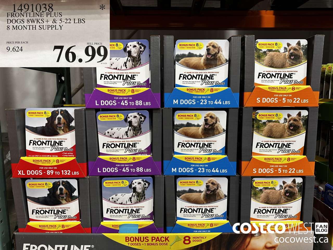 1491038 FRONTLINE PLUS DOGS 8WK+ & 5-22 LBS 8 MONTH SUPPLY $76.99