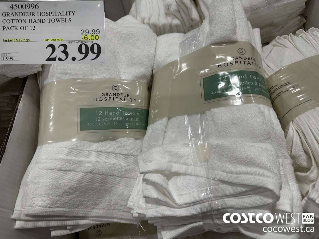 4500996 GRANDEUR HOSPITALITY COTTON HAND TOWELS 16