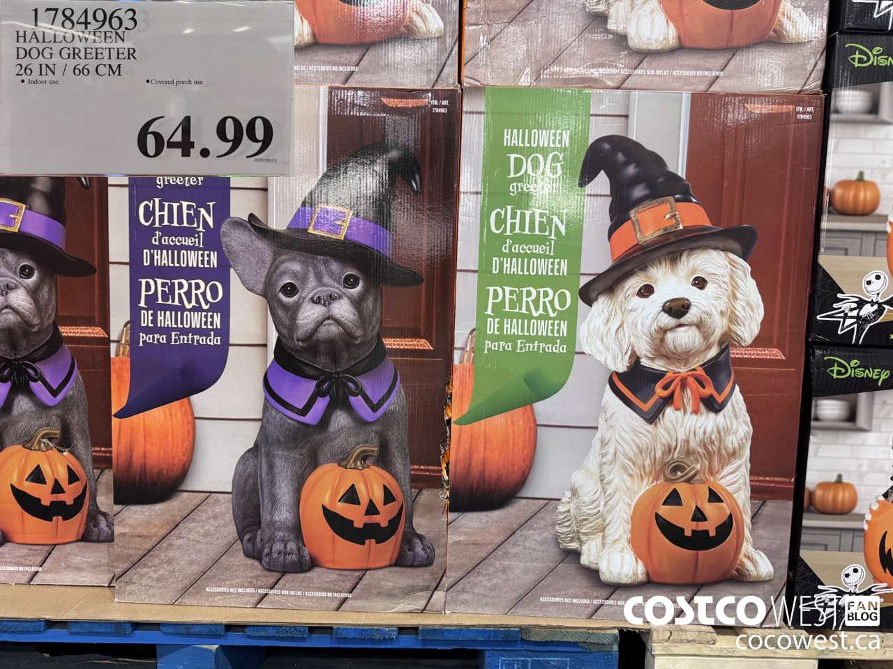 1784963 HALLOWEEN DOG GREETER 26 IN/66 CM $64.99