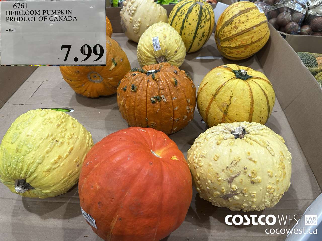 6761 HEIRLOOM PUMPKIN PRODUCT OF CANADA $7.99