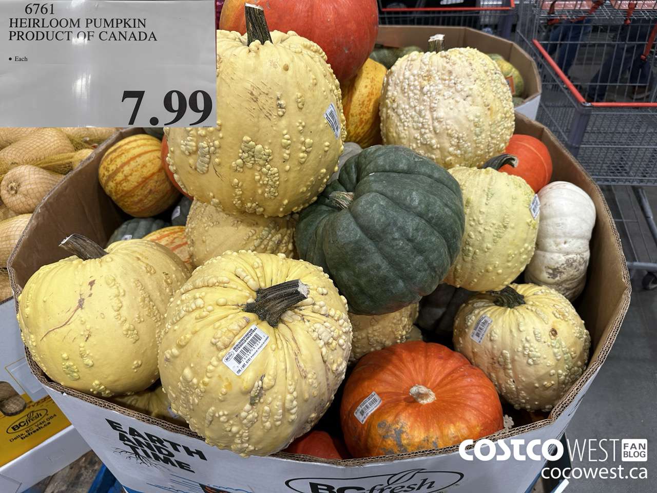 6761 HEIRLOOM PUMPKIN PRODUCT OF CANADA $7.99