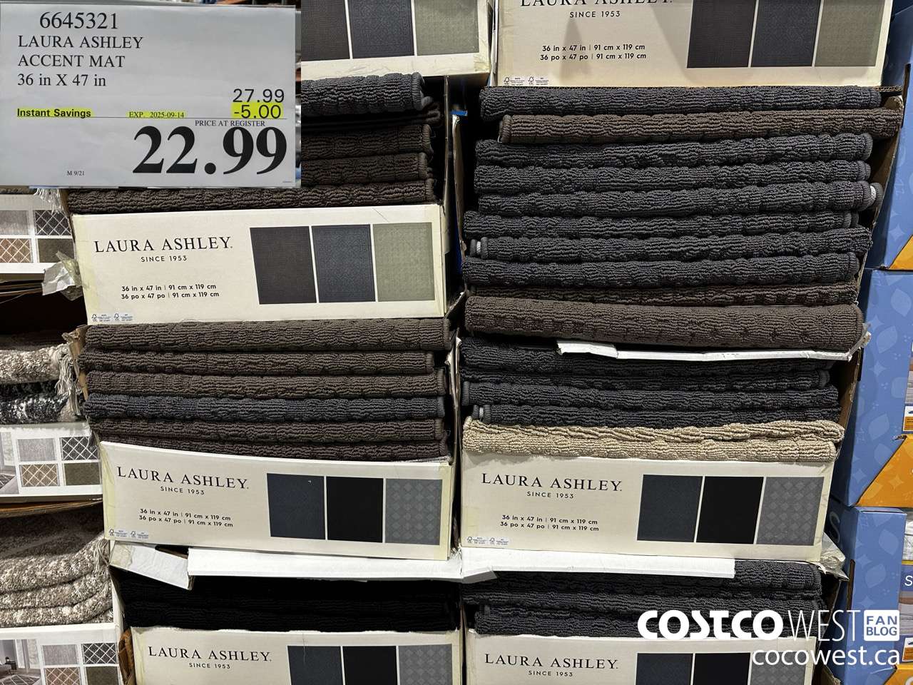 6645321 LAURA ASHLEY ACCENT MAT 36