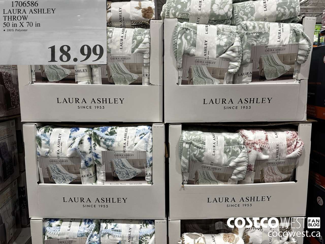 1706586 LAURA ASHLEY THROW 50