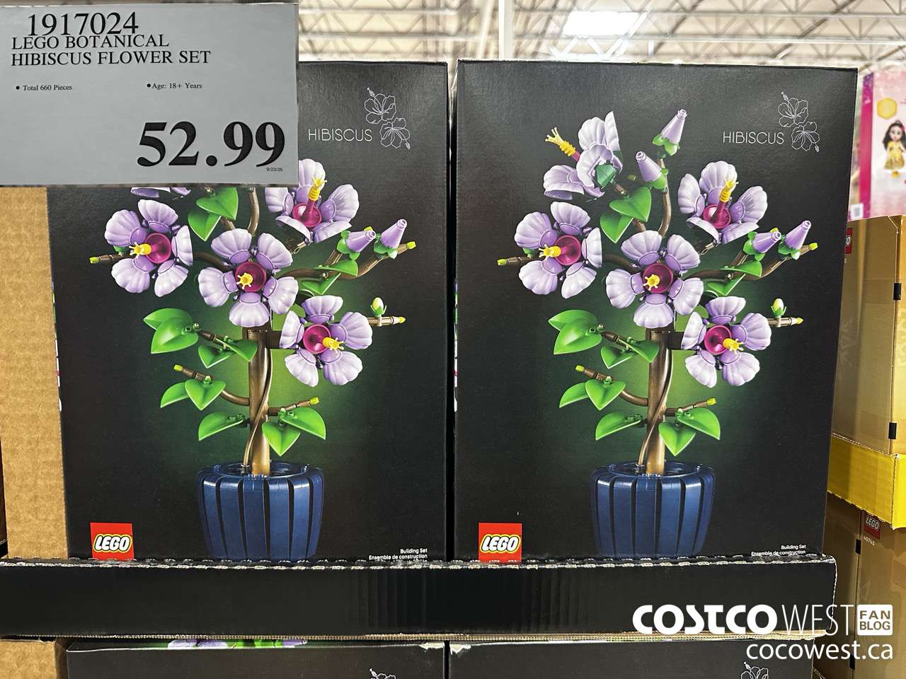 1917024 LEGO BOTANICAL HIBISCUS FLOWER SET $52.99