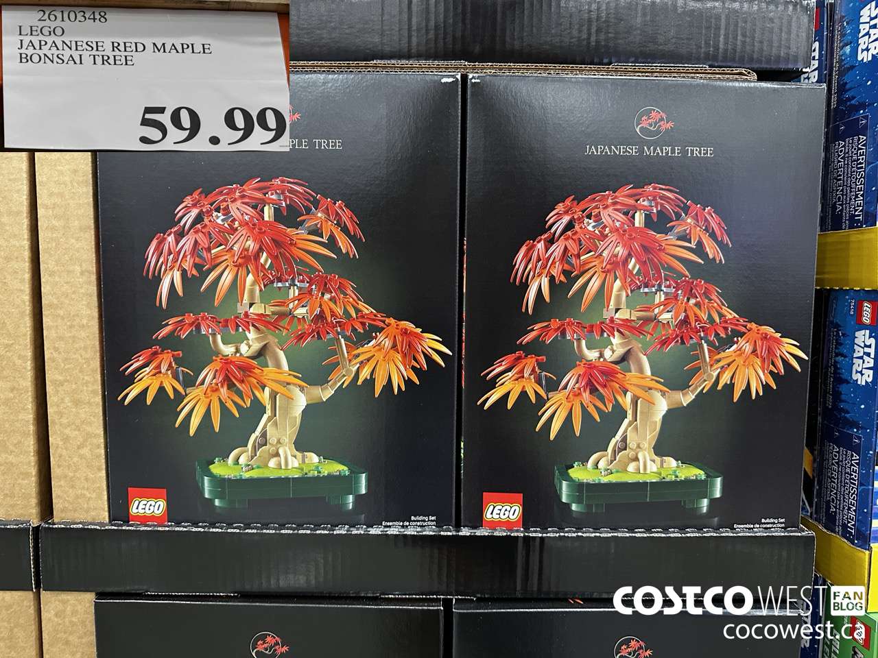 2610348 LEGO JAPANESE RED MAPLE BONSAI TREE $59.99