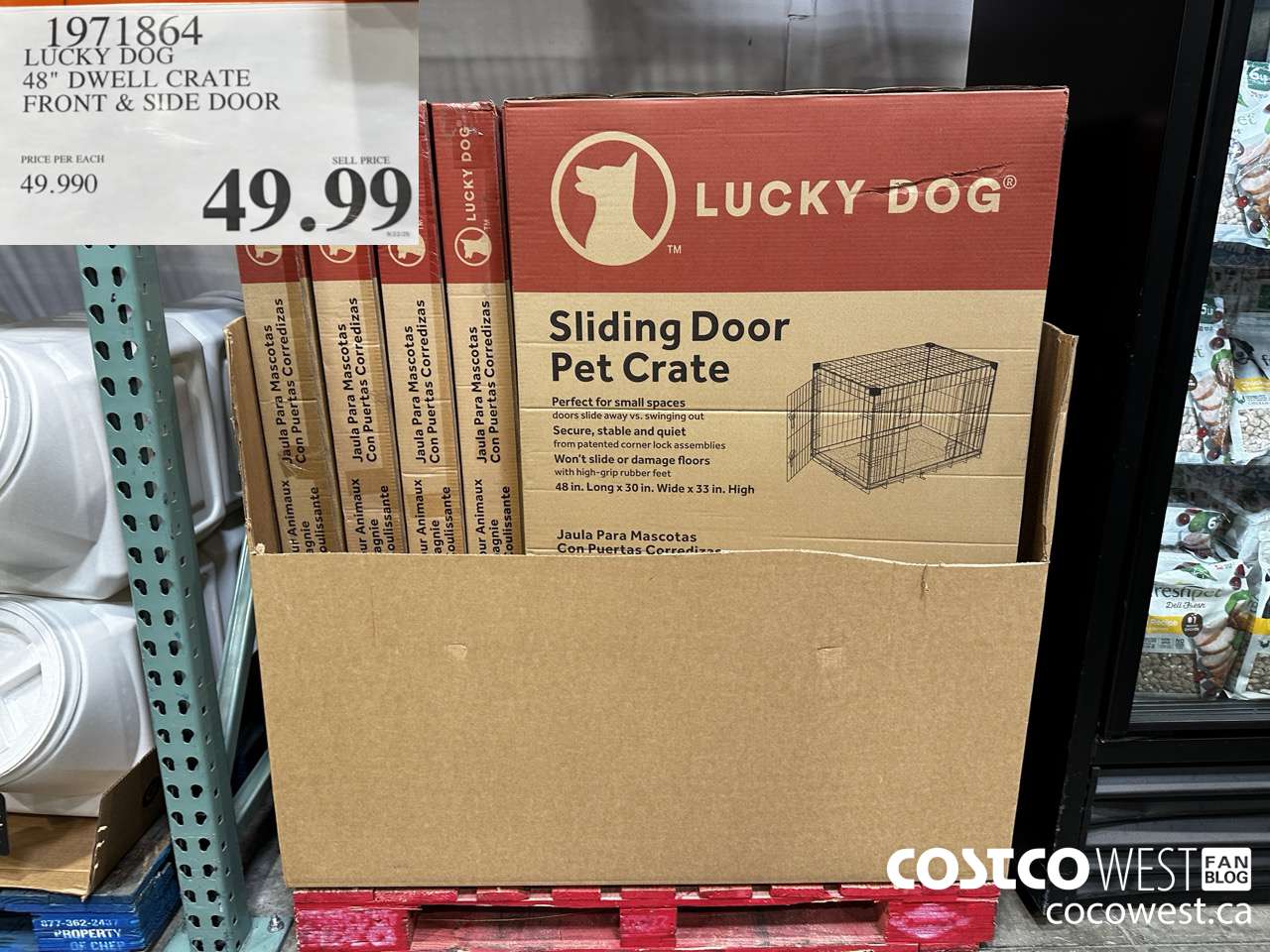 1971864 LUCKY DOG 48