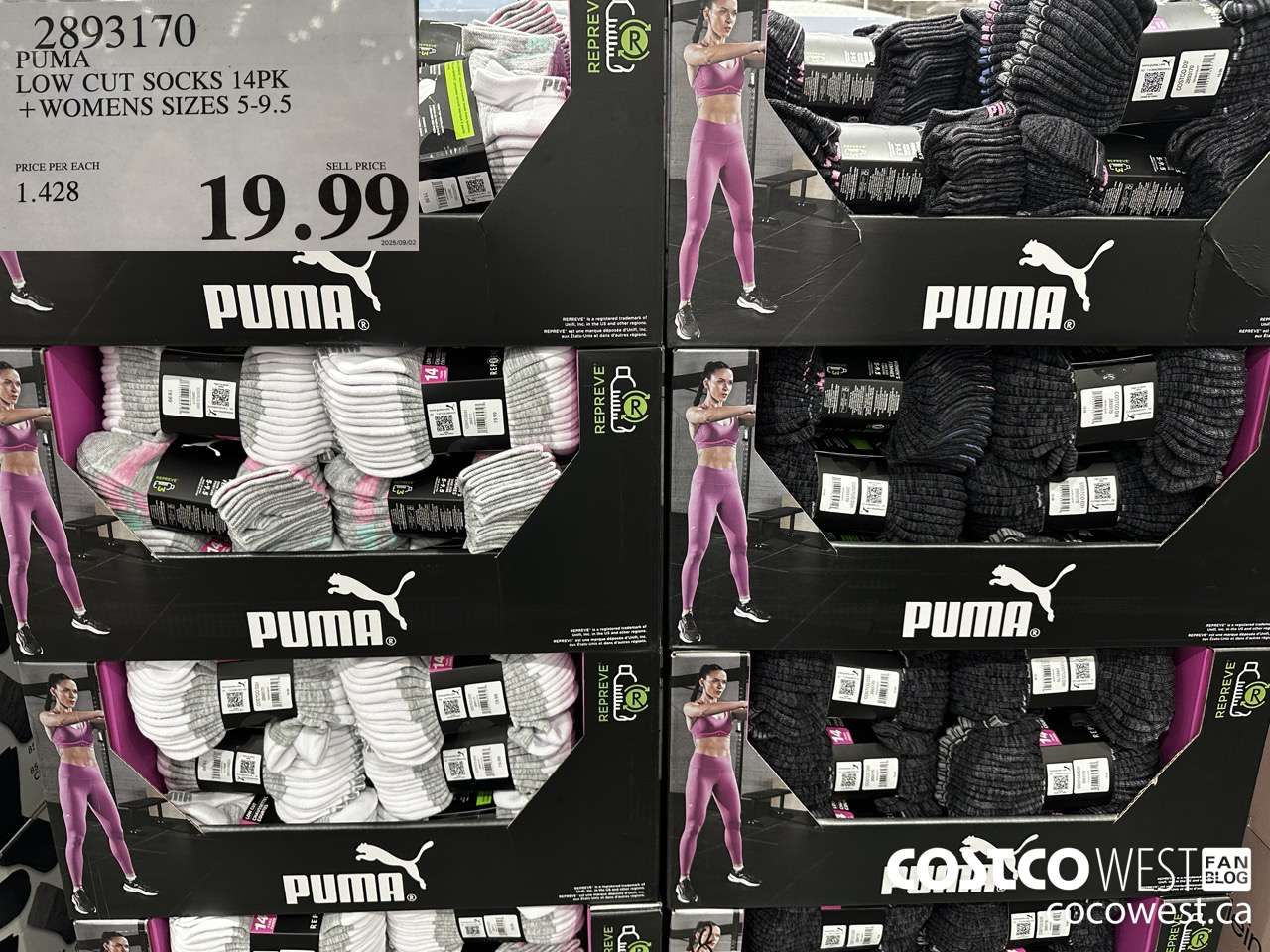2893170 PUMA LOW CUT SOCKS 14PK WOMENS SIZES 5-9.5 $19.99