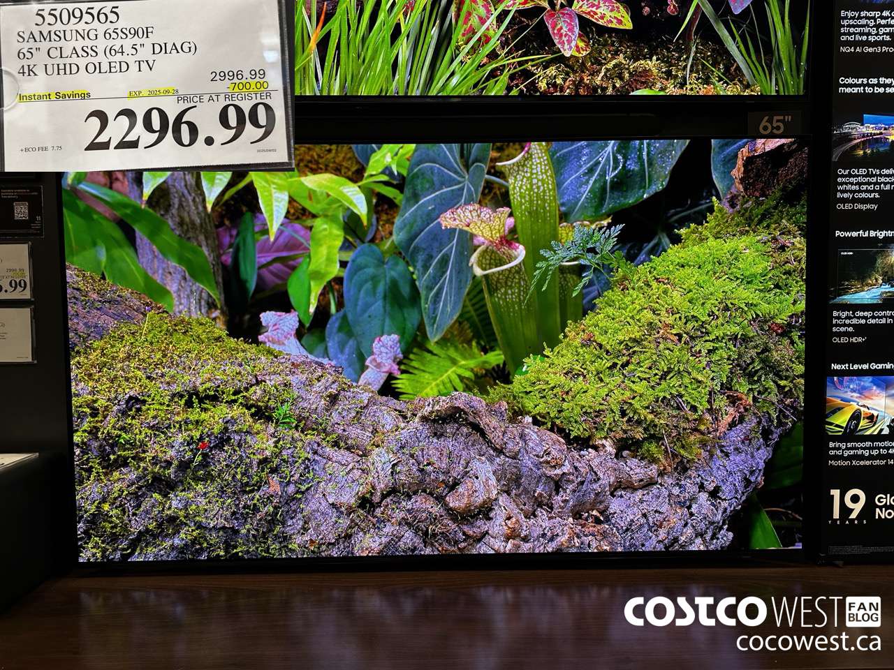 5509565 SAMSUNG 65S90F 65