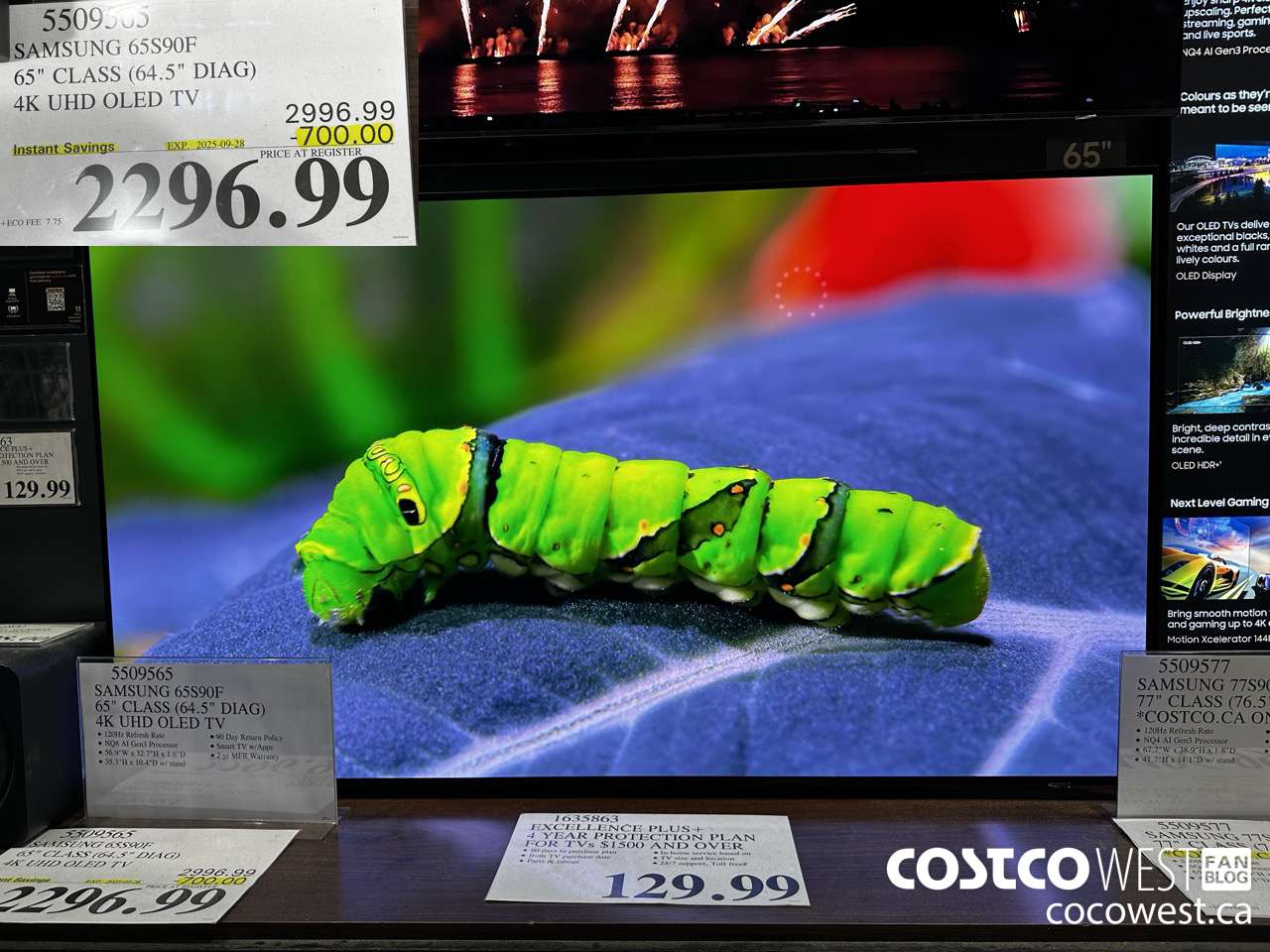 5509565 SAMSUNG 65S90F 65