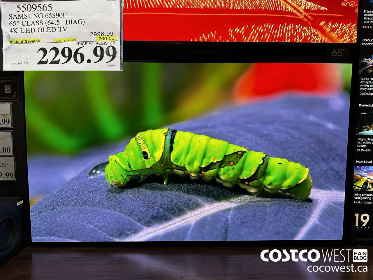 5509565 SAMSUNG 65S90F 65