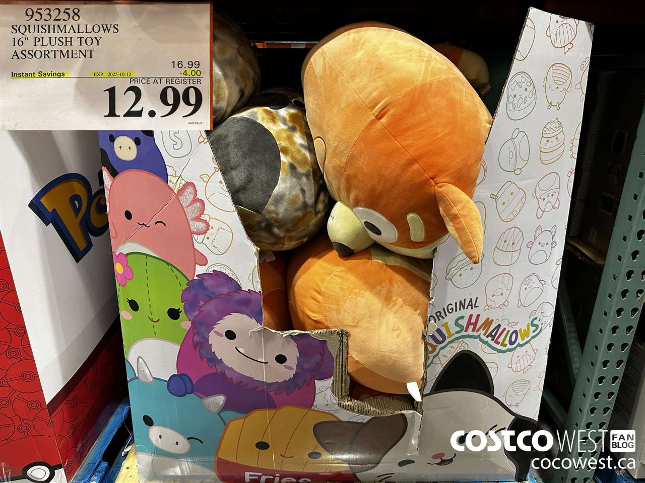 953258 SQUISHMALLOWS 16