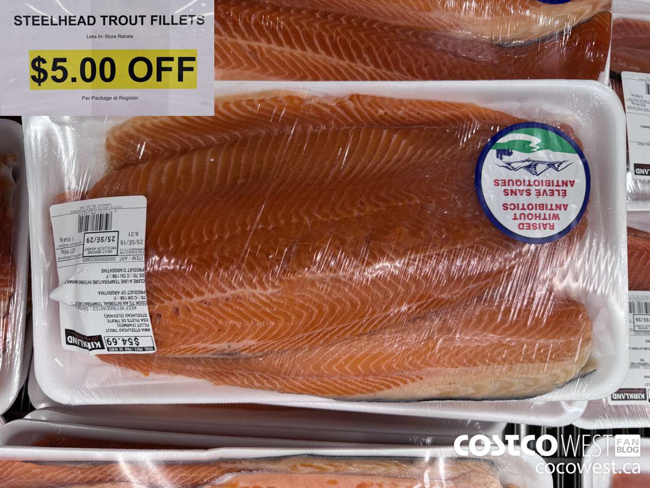 32605 STEELHEAD TROUT FILLET (FARMED) ($5.00 INSTANT SAVINGS)