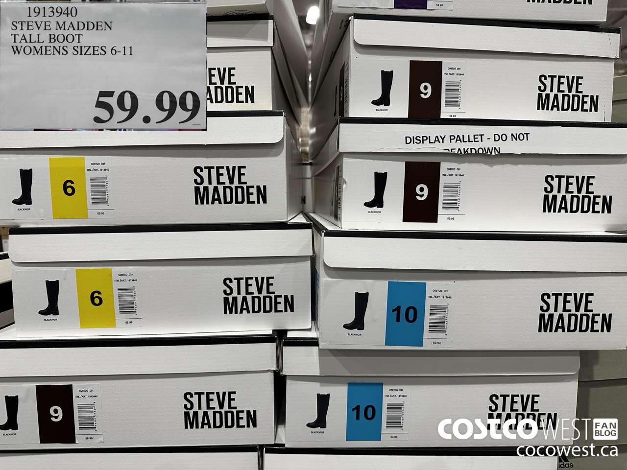 1913940 STEVE MADDEN TALL BOOT WOMENS SIZES 6-11 $59.99