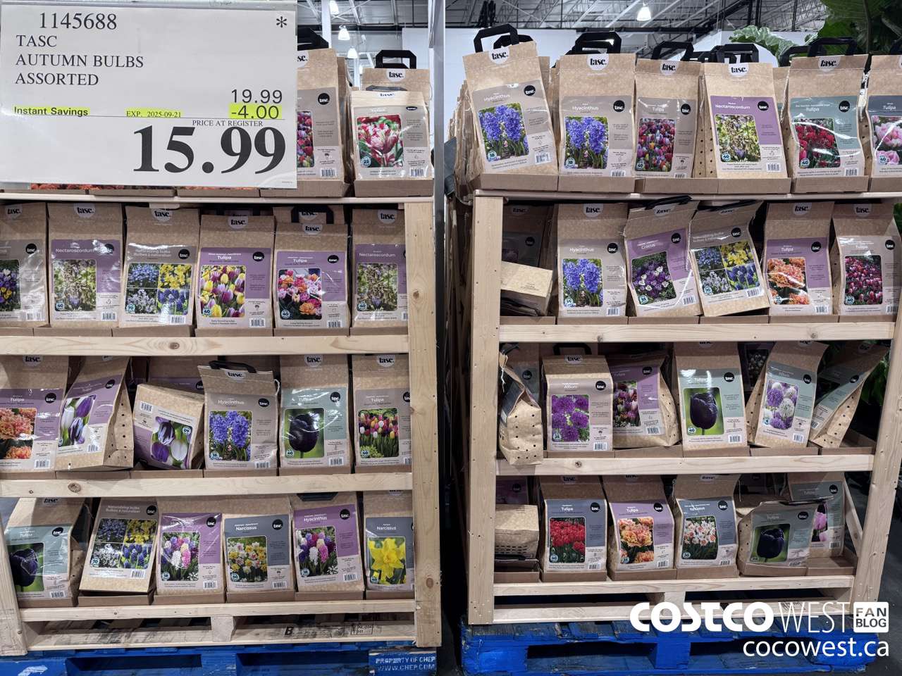 1145688 TASC AUTUMN BULBS ASSORTED ($4.00 INSTANT SAVINGS EXPIRES ON 2025-09-21) $15.99