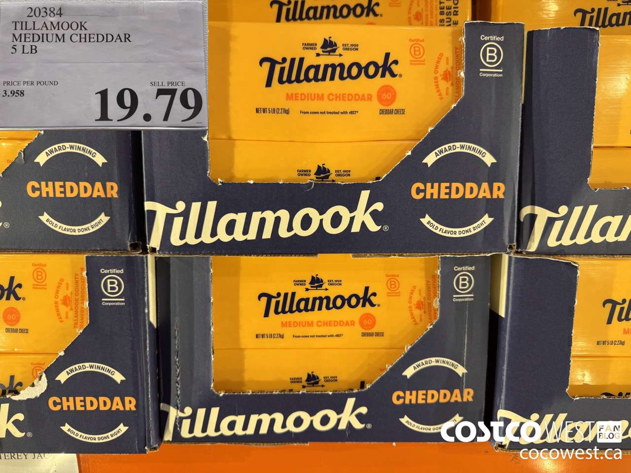 20384 TILLAMOOK MEDIUM CHEDDAR 5 LB  $19.79