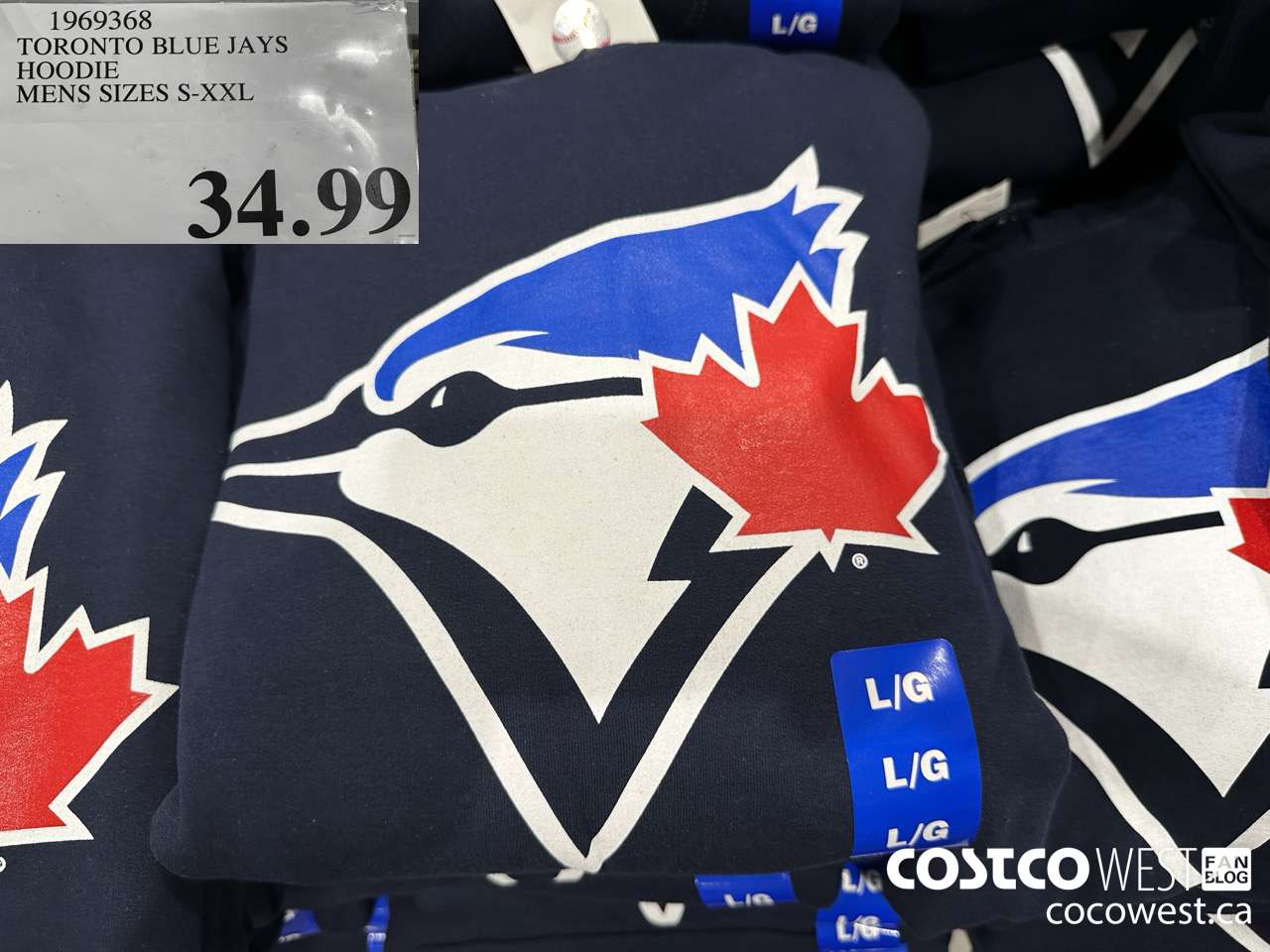 1969368 TORONTO BLUE JAYS HOODIE MENS SIZES S-XXL $34.99