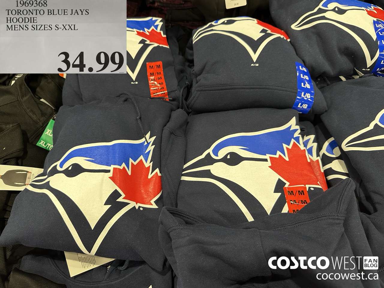1969368 TORONTO BLUE JAYS HOODIE MENS SIZES S-XXL $34.99
