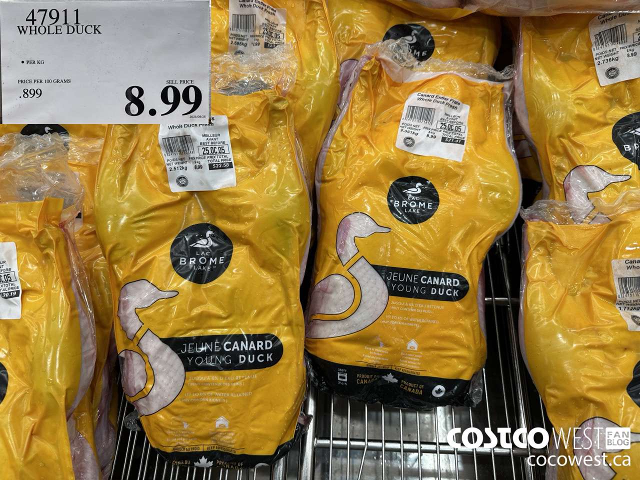 47911 WHOLE DUCK $8.99