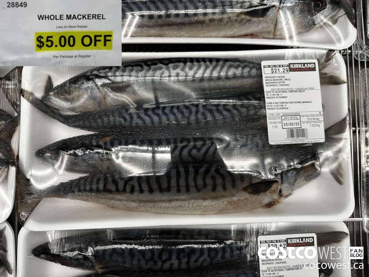 28849 WHOLE MACKEREL ($5.00 INSTANT SAVINGS)