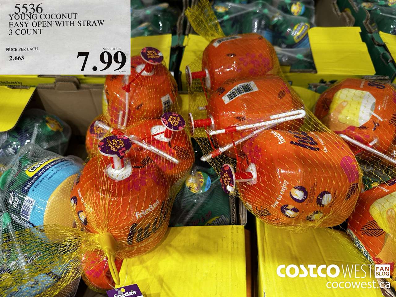 5536 YOUNG COCONUT EASY OPEN WITH STRAW 3 COUNT $7.99