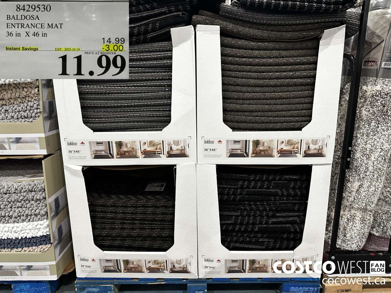 8429530 BALDOSA ENTRANCE MAT 36 IN X 46 IN ($3.00 INSTANT SAVINGS EXPIRES ON 2025-10-19) $11.99