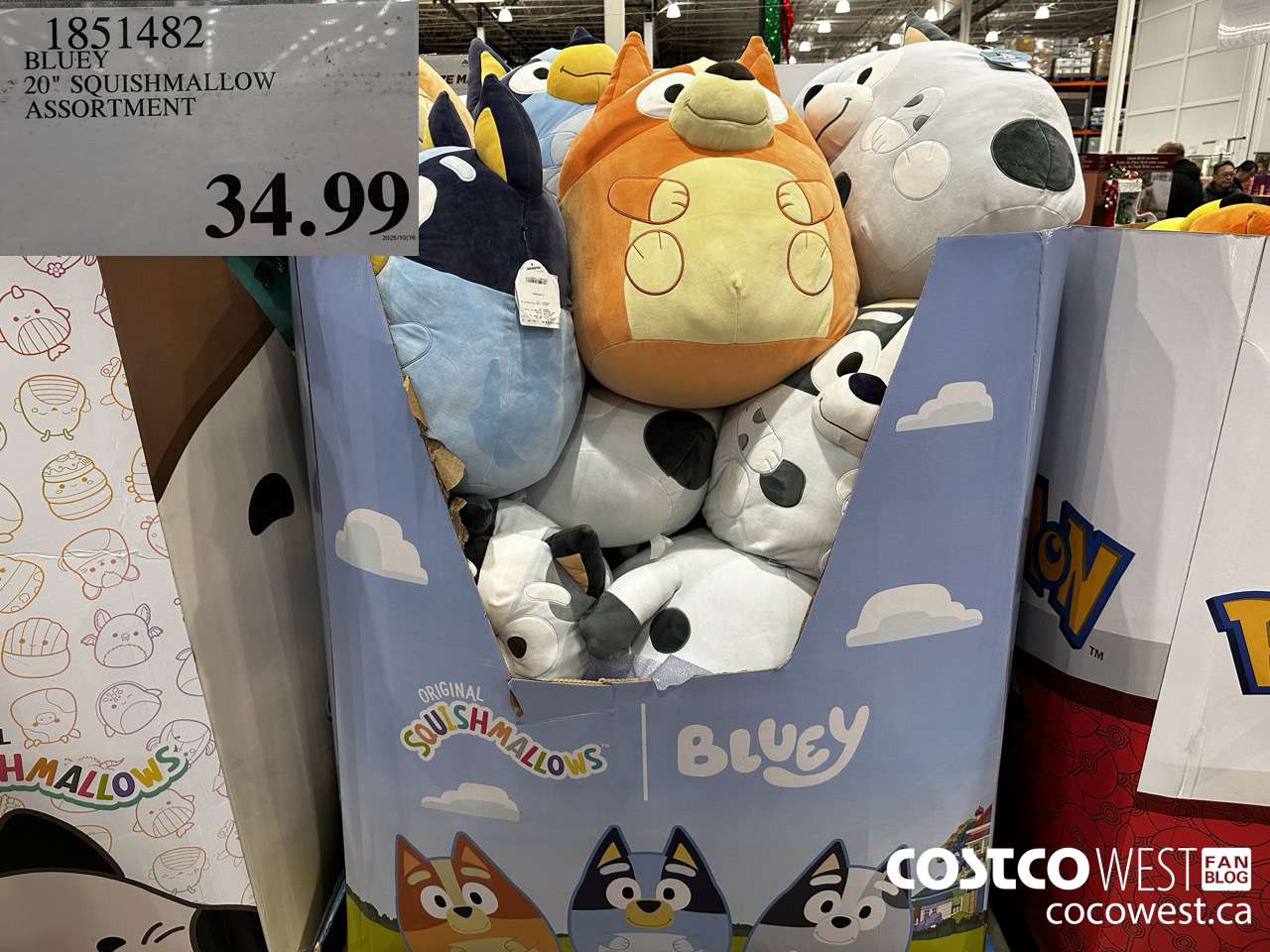 1851482 BLUEY 20