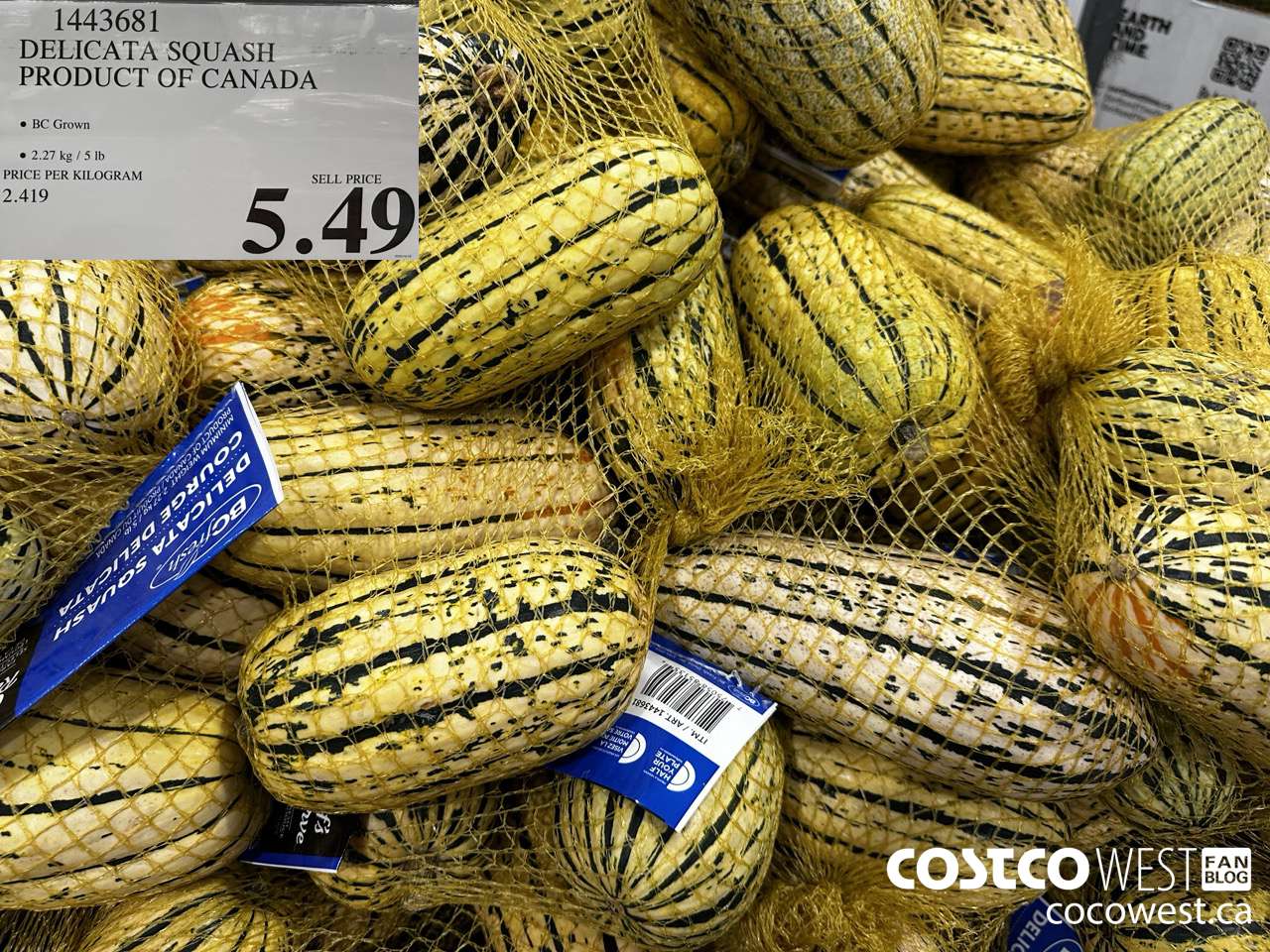 1443681 DELICATA SQUASH PRODUCT OF CANADA $5.49