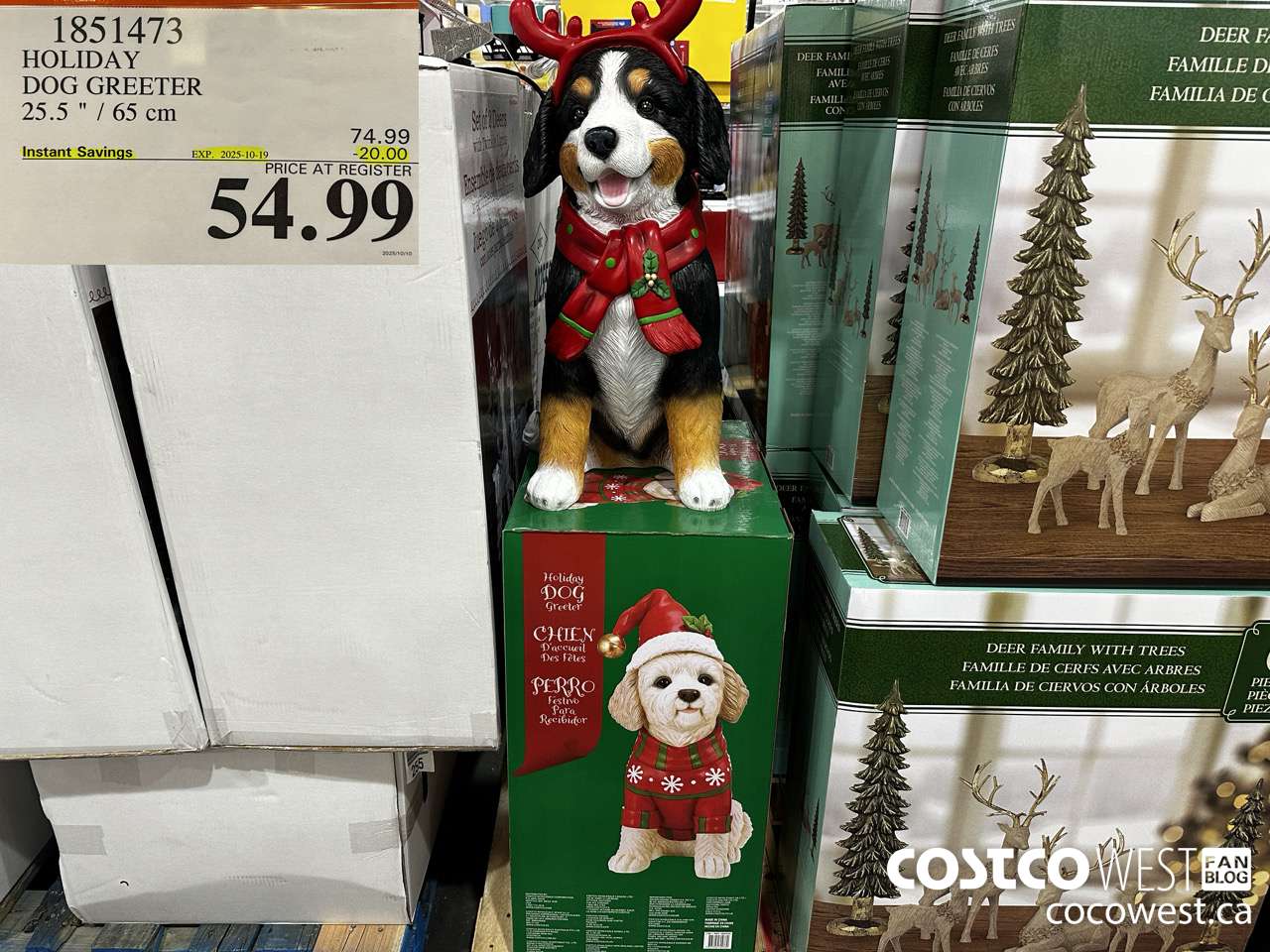 1851473 HOLIDAY DOG GREETER 25.5