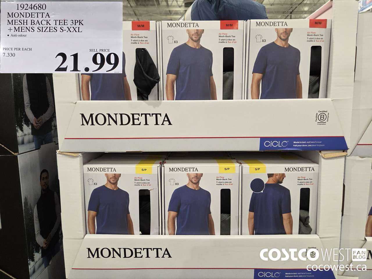 1924680 MONDETTA MESH BACK TEE 3PK MENS SIZES S-XXL $21.99
