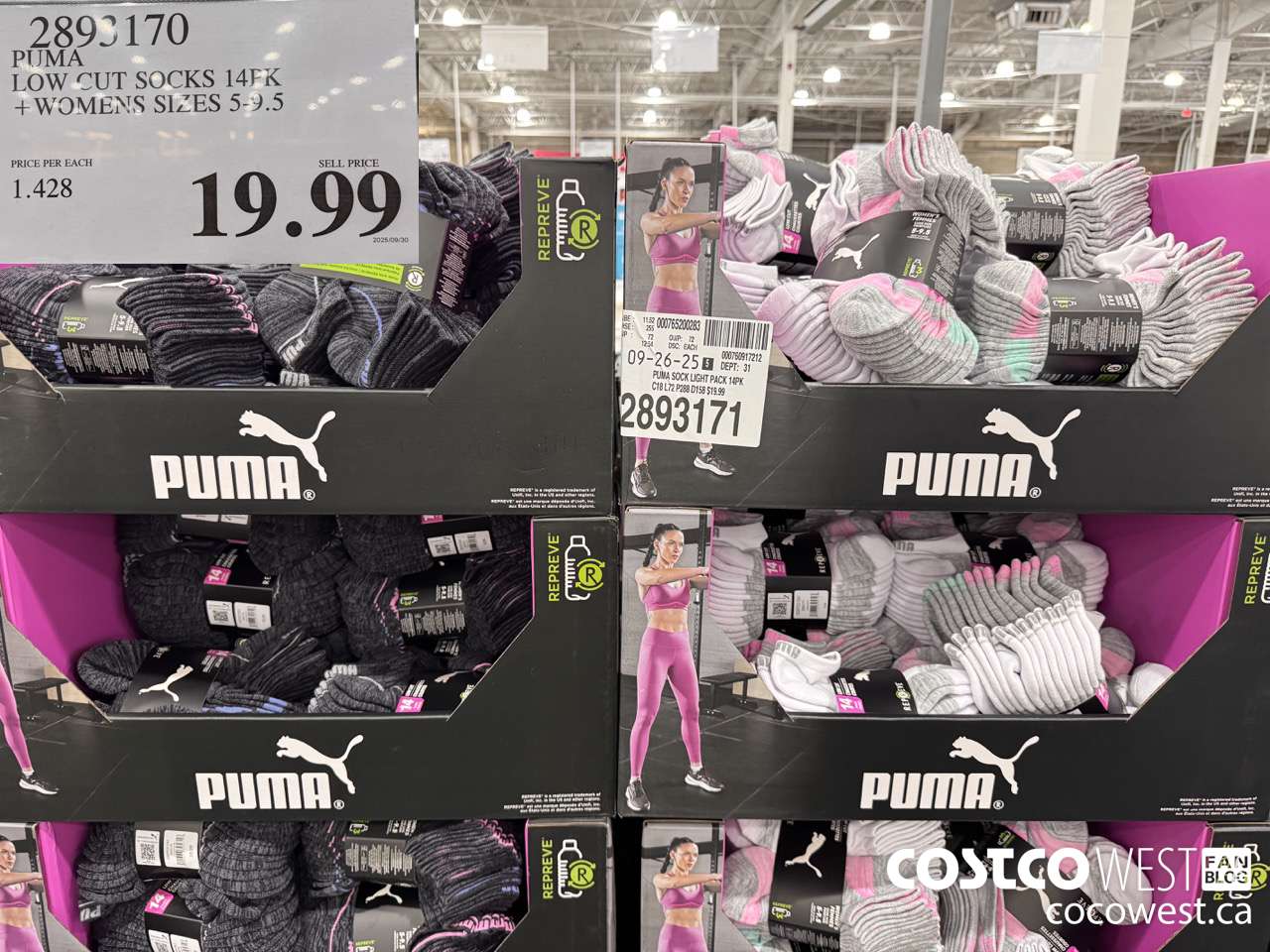 2893170 PUMA LOW CUT SOCKS 14PK WOMENS SIZES 5-9.5 $19.99