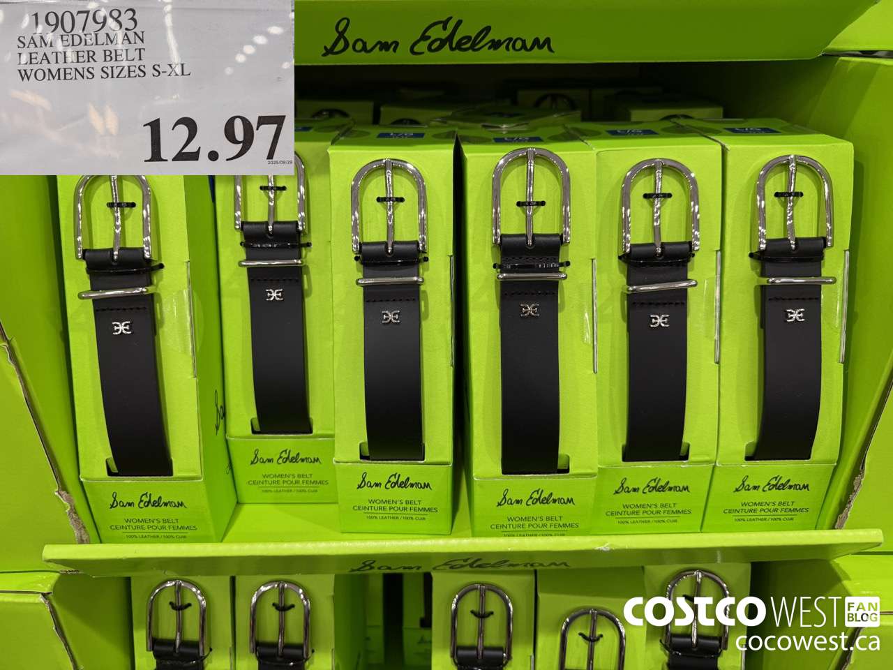 1907983 SAM EDELMAN LEATHER BELT WOMENS SIZES S-XL $12.97