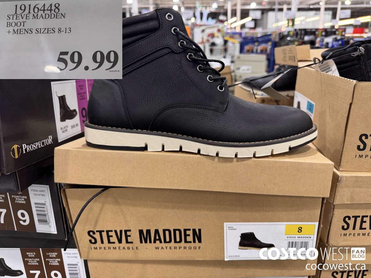 1916448 STEVE MADDEN BOOT MENS SIZES 8-13 $59.99