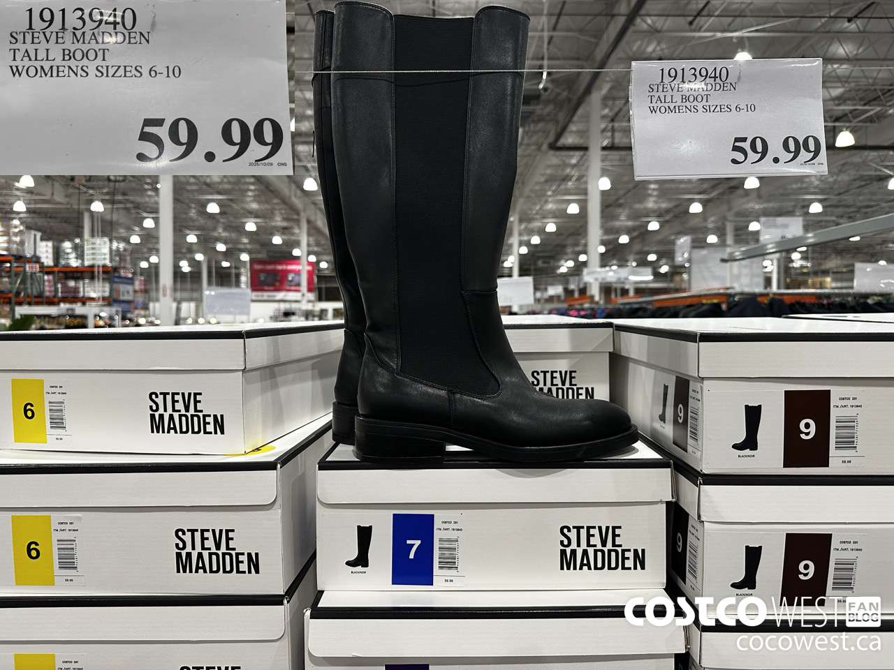 1913940 STEVE MADDEN TALL BOOT WOMENS SIZES 6-10 $59.99