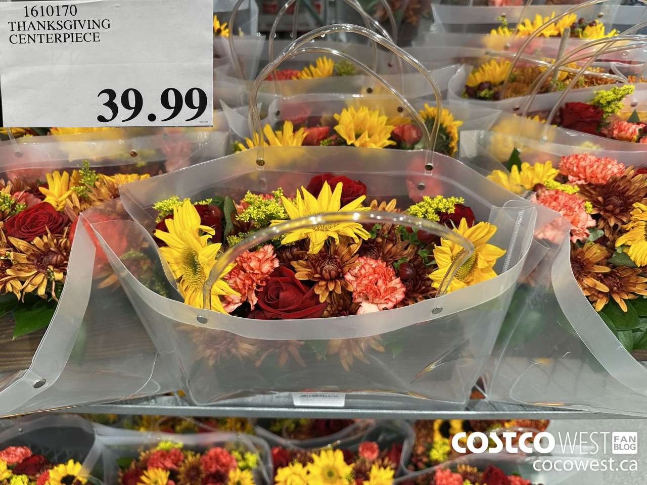 1610170 THANKSGIVING CENTERPIECE  $39.99