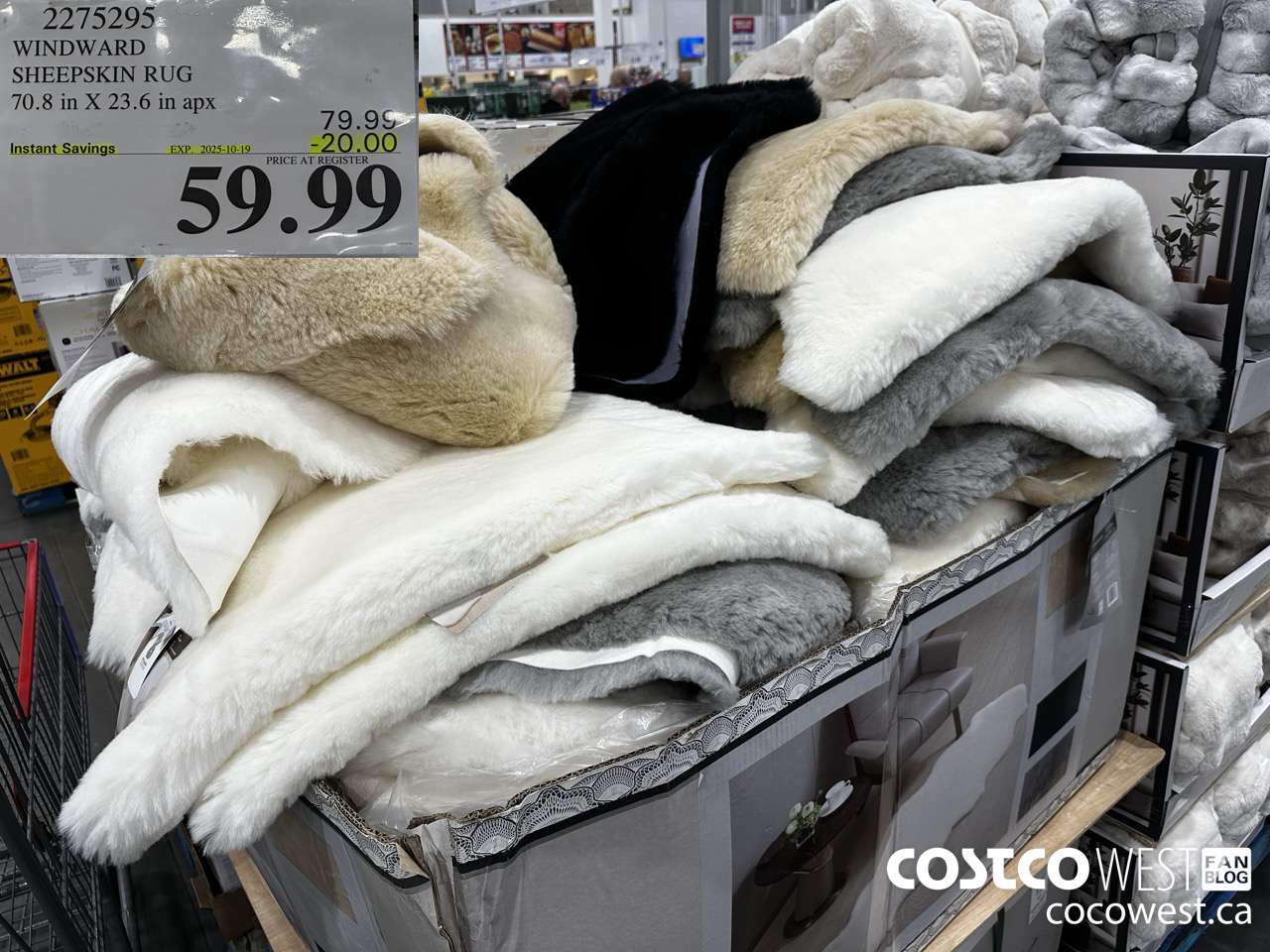 2275295 WINDWARD SHEEPSKIN RUG 70.8IN X 23.6IN APX ($20.00 INSTANT SAVINGS EXPIRES ON 2025-10-19) $59.99