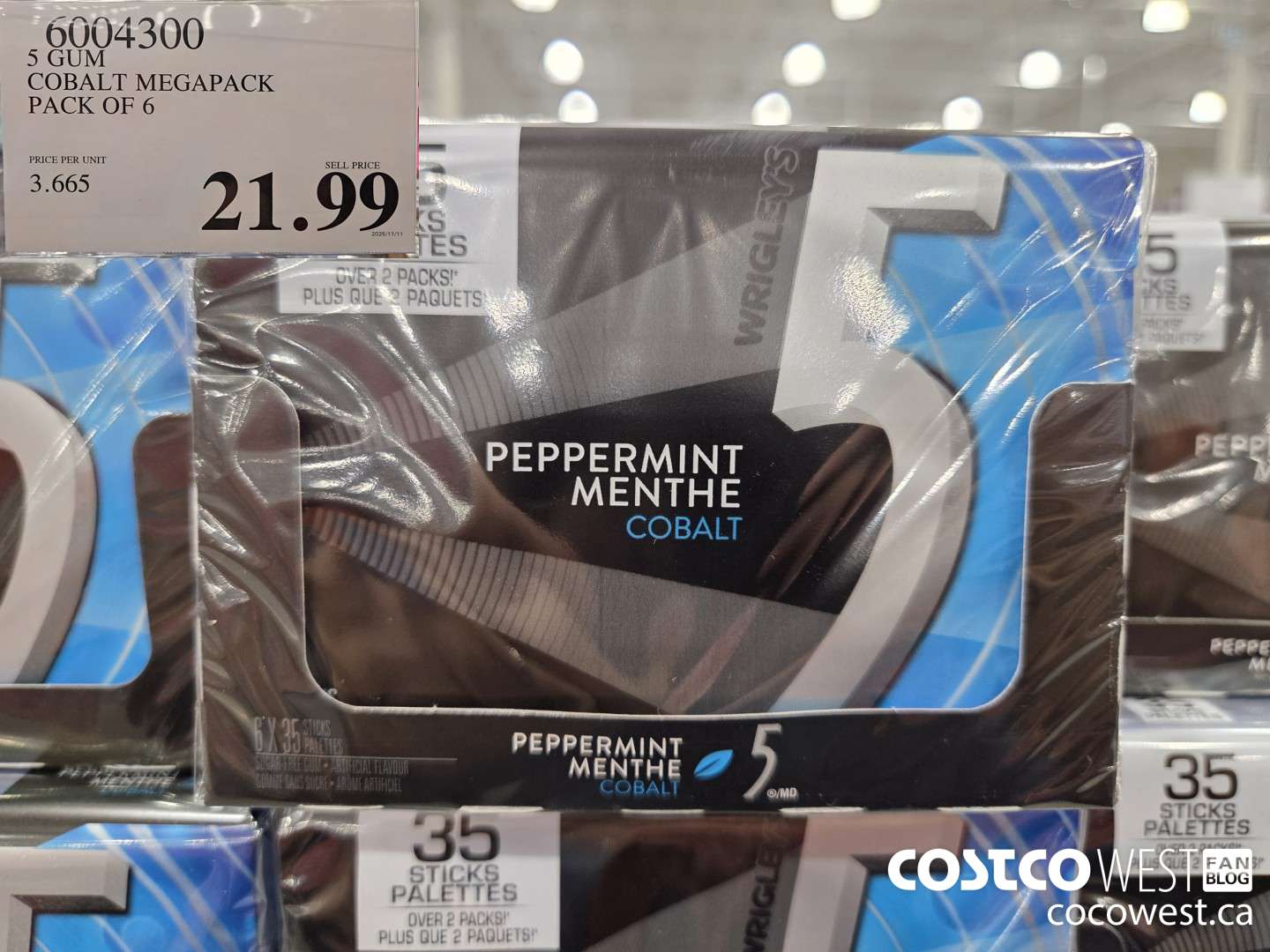 6004300 5 GUM COBALT MEGAPACK PACK OF 6 $21.99