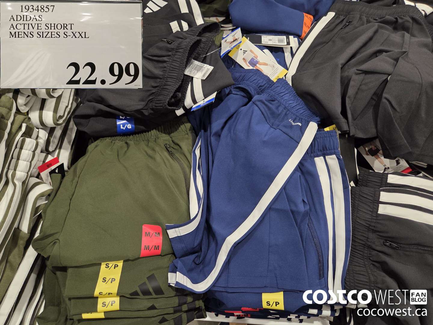 1934857 ADIDAS ACTIVE SHORT MENS SIZES S-XXL $22.99