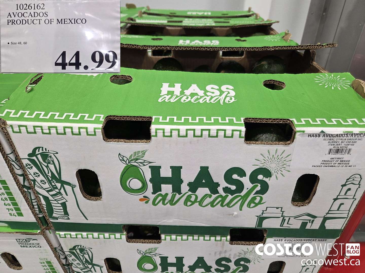 1026162 AVOCADOS PRODUCT OF MEXICO $44.99