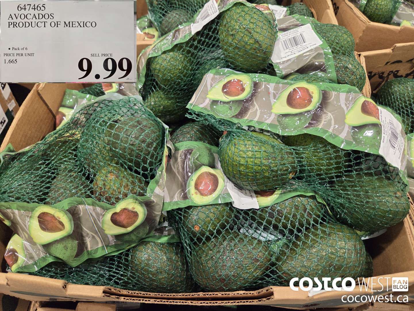 647465 AVOCADOS PRODUCT OF NEW ZEALAND $9.99