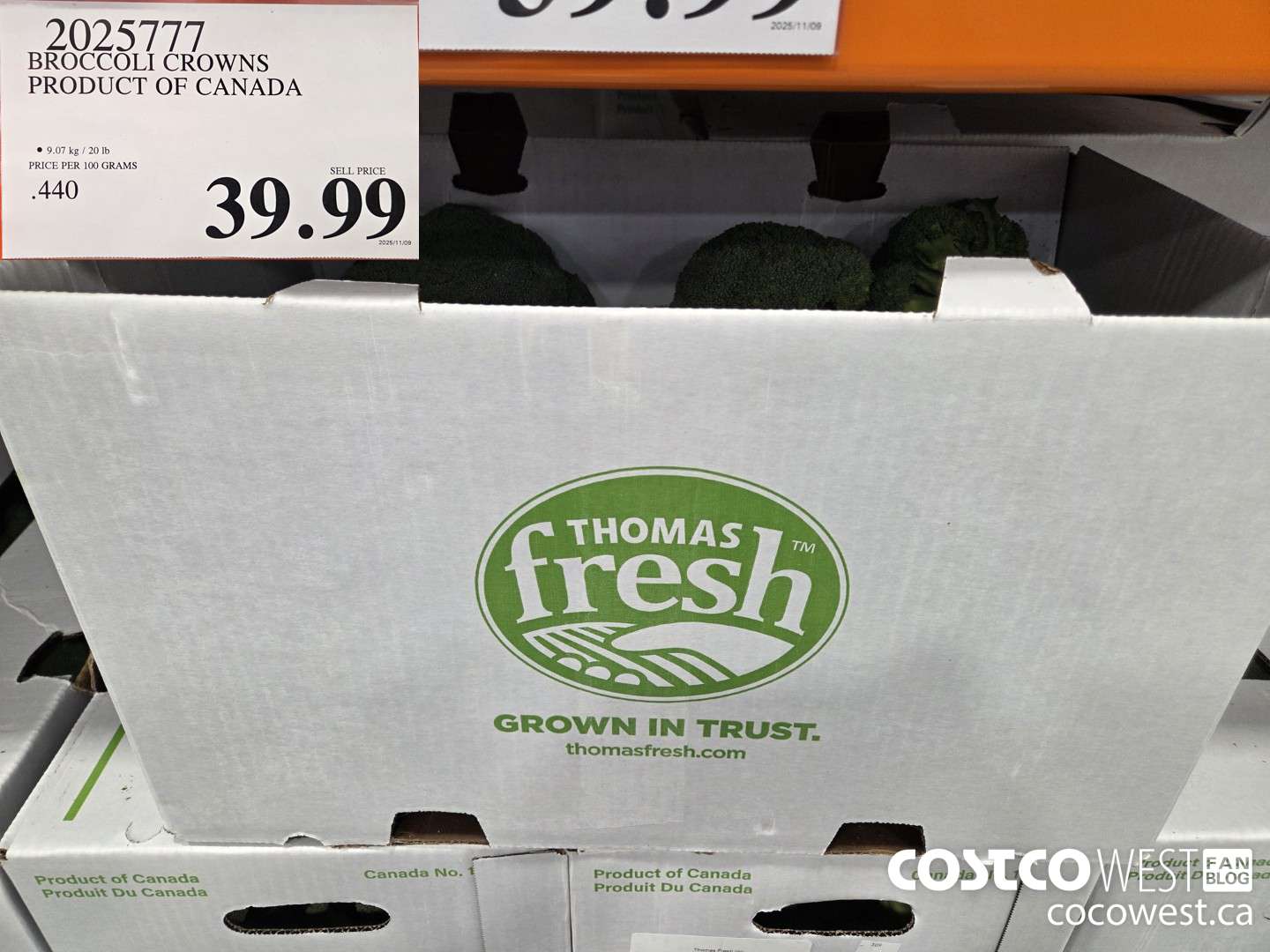 2025777 BROCCOLI CROWNS PRODUCT OF CANADA $39.99